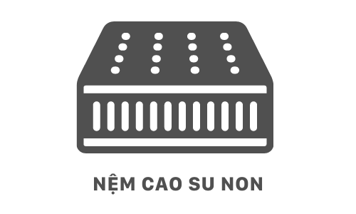 Nệm cao su non