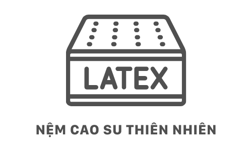 Nệm cao su thiên nhiên