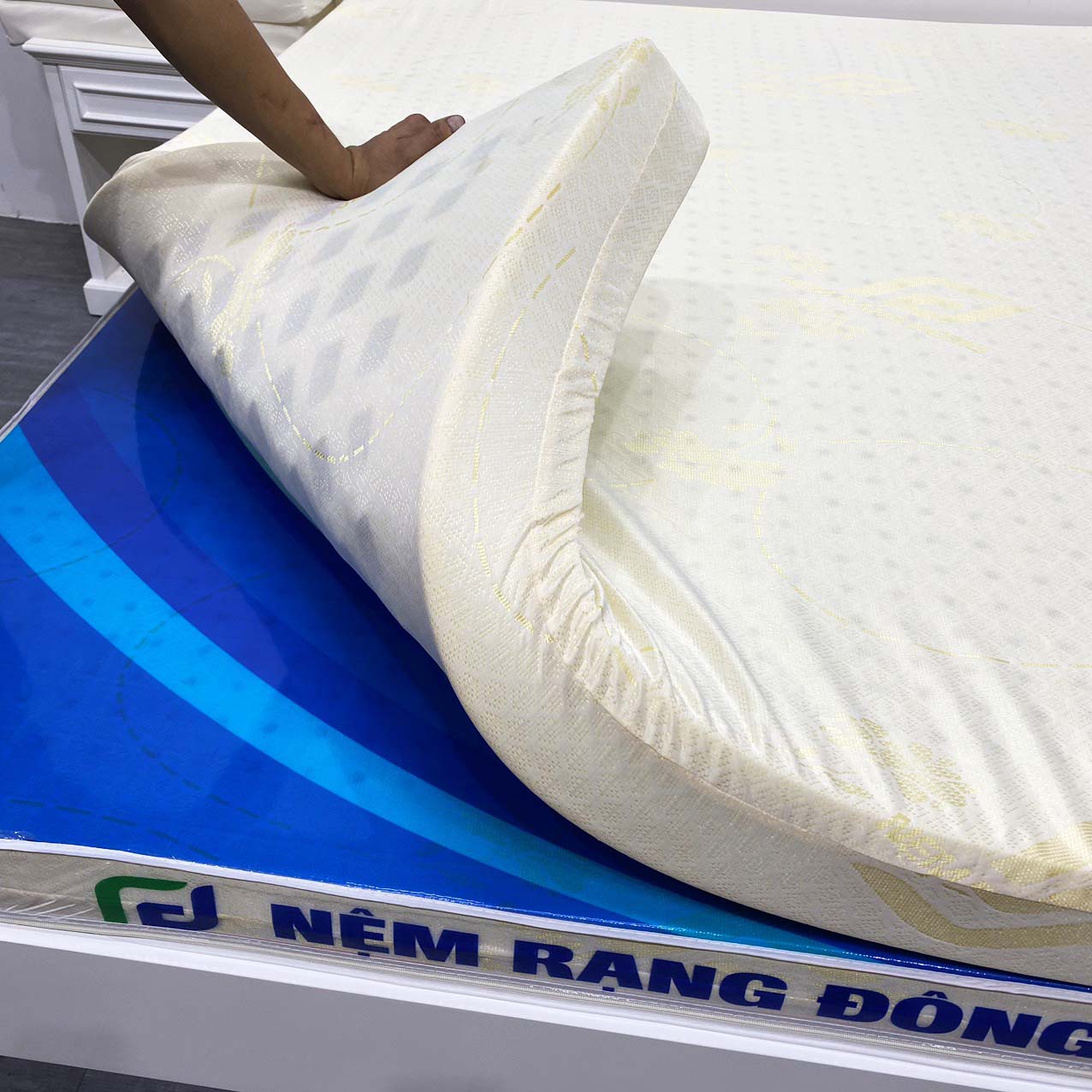 Nệm Cao Su Rạng Đông Gold - Ảnh 2