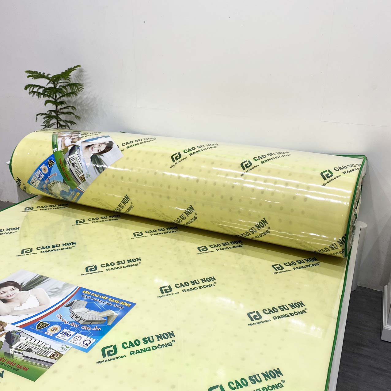 Nệm Cao Su Non Rạng Đông - Ảnh 3