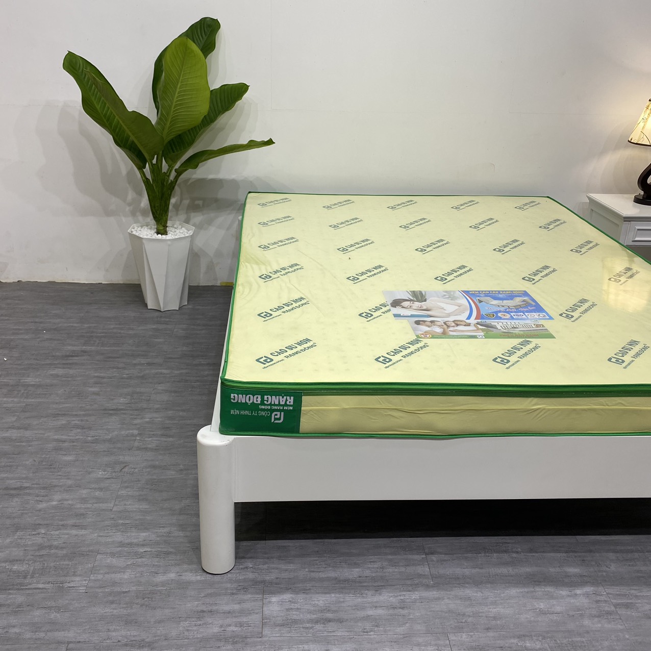 Nệm Cao Su Non Rạng Đông - Ảnh 4