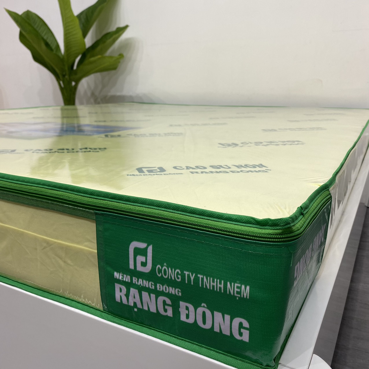 Nệm Cao Su Non Rạng Đông - Ảnh 6