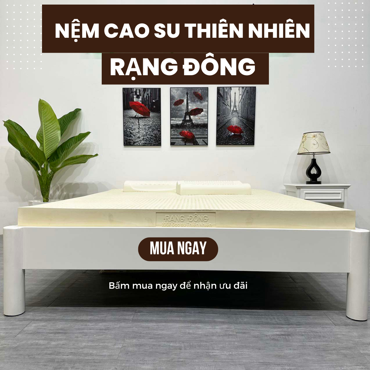Nệm Cao Su Thiên Nhiên Rạng Đông - Ảnh 6