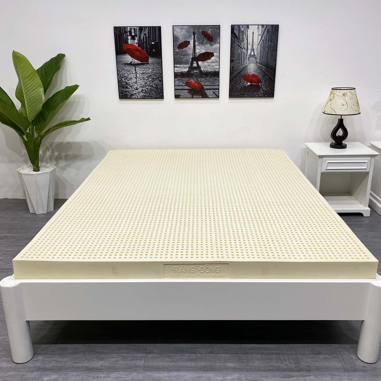 Nệm Cao Su Thiên Nhiên Rạng Đông - Ảnh 3