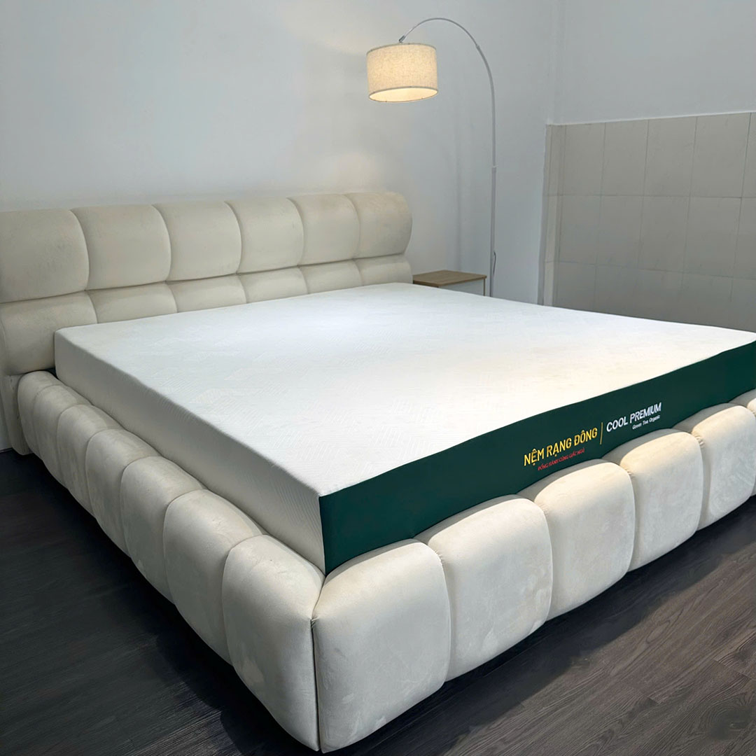 Nệm Rạng Đông Cool Premium - Ảnh 4