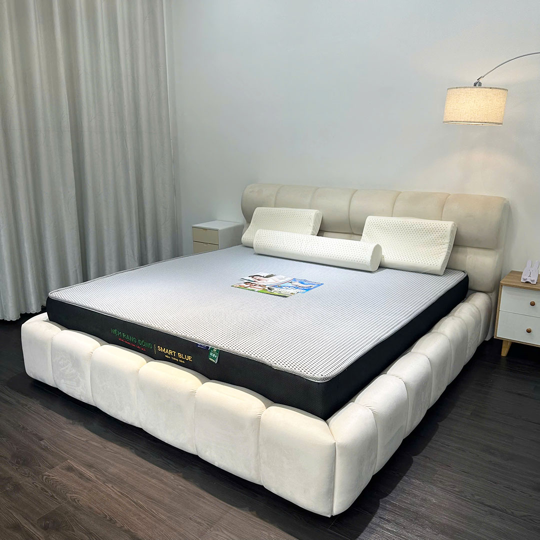 Nệm Rạng Đông Smart Blue - Ảnh 2