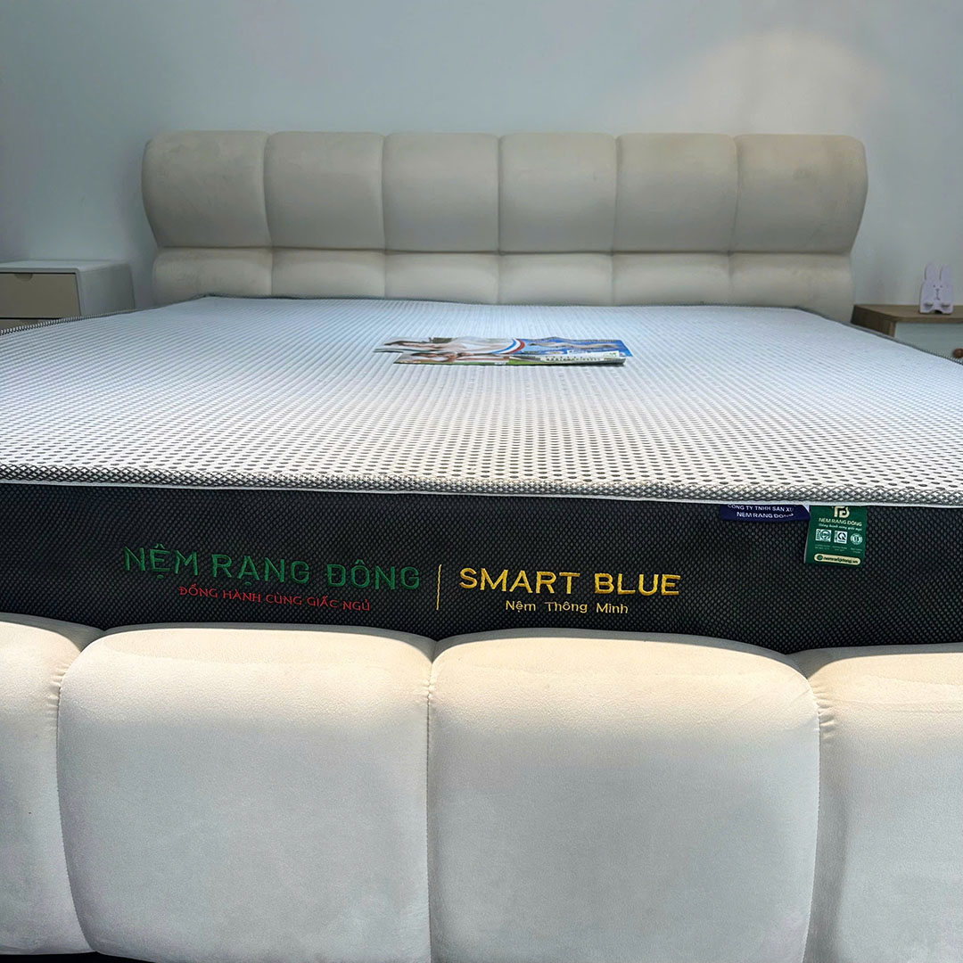 Nệm Rạng Đông Smart Blue - Ảnh 3