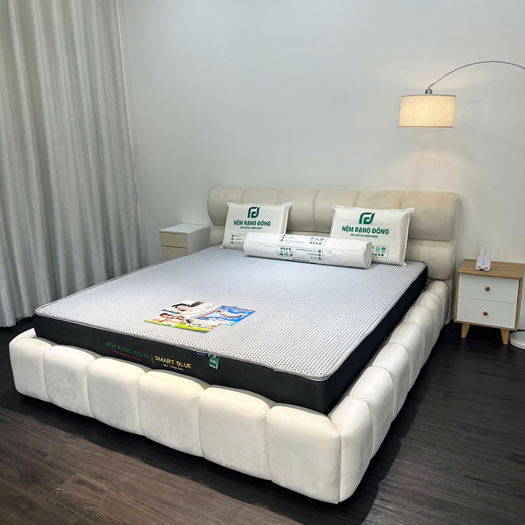 Nệm Rạng Đông Smart Blue - Ảnh 4