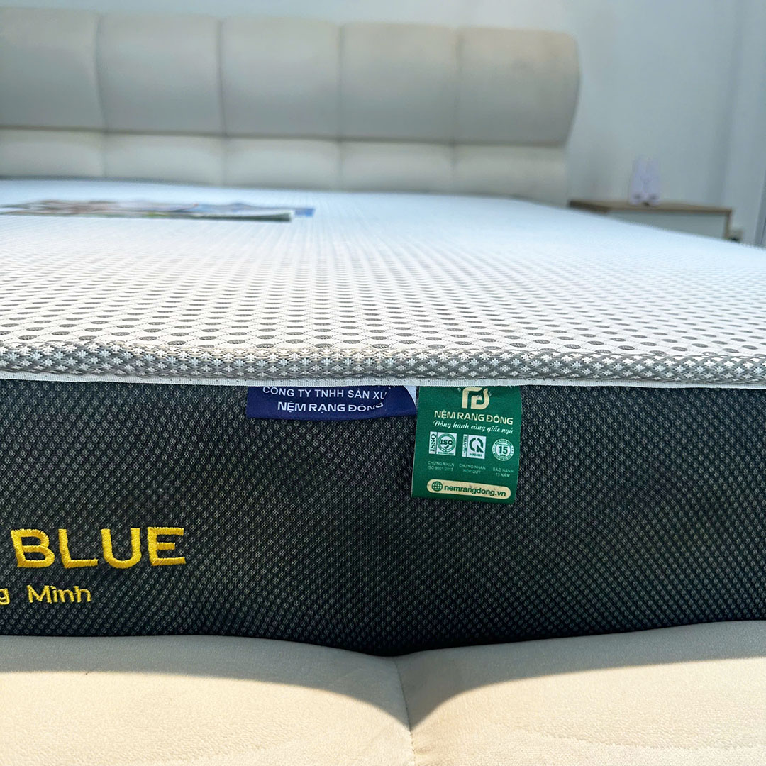 Nệm Rạng Đông Smart Blue - Ảnh 5