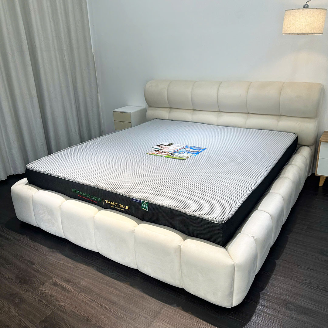 Nệm Rạng Đông Smart Blue - Ảnh 6
